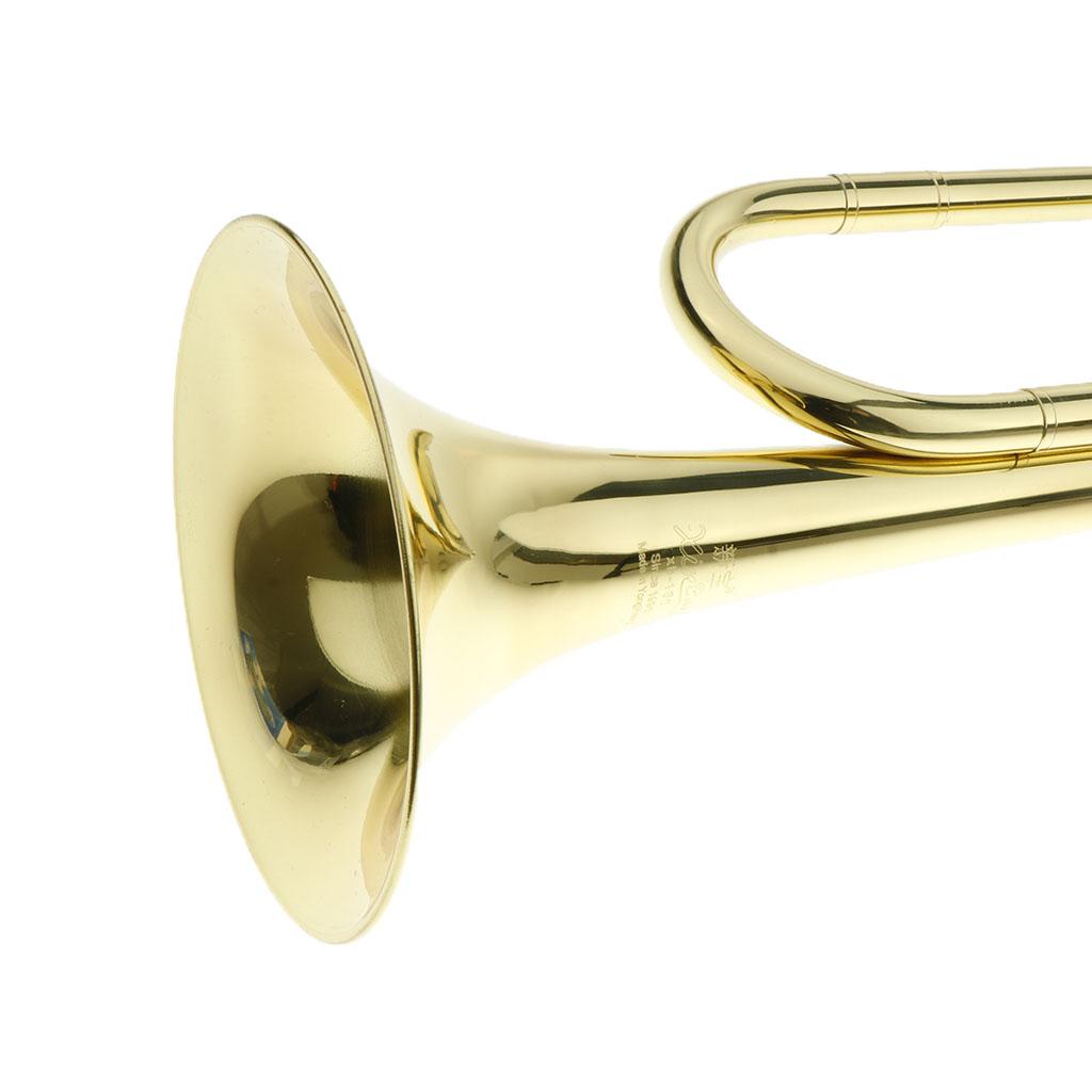 Trąbka dla dzieci, złota trąbk – Musical Instrument Long recenzja i cena