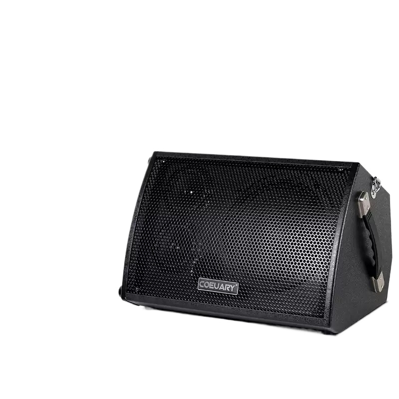 Głośnik do gitary folkowej 60W – Musical Instrument Long recenzja i cena