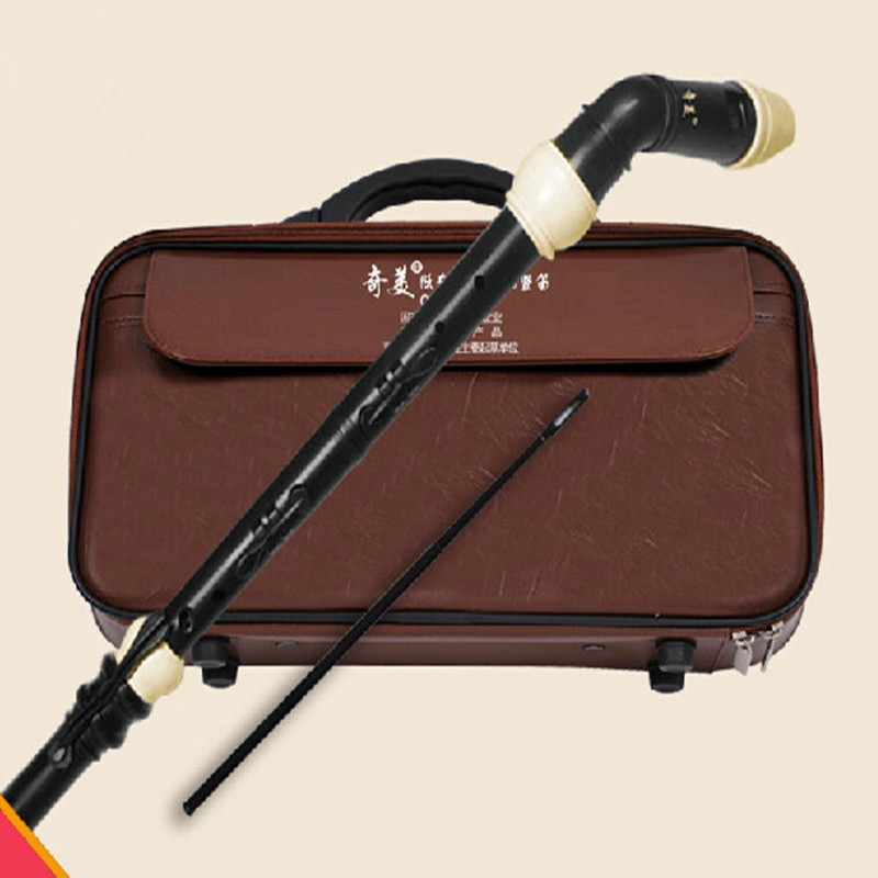 Profesjonalny 8 otworów baroko – Recorder Baroque Style recenzja i cena